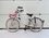 Afbeelding van WhatsApp op 2025-05-03 om 13.44.32_0888412f