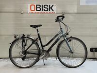 Trek T300