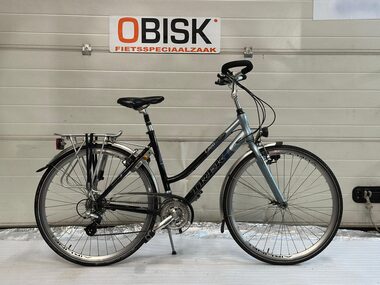Trek T300